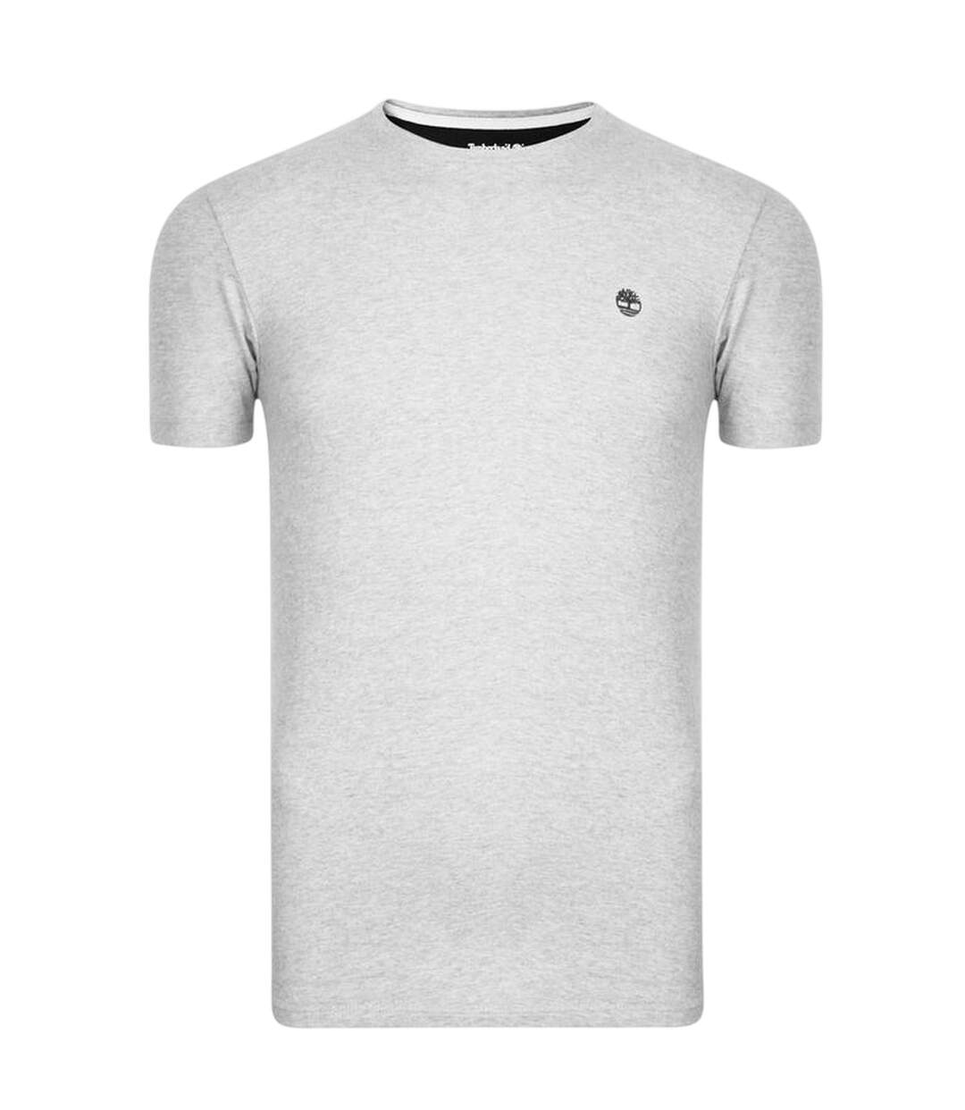 T-shirt Motif/style Brodé River Homme Gris Timberland-2