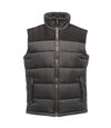 Regatta Mens Standout Altoona Insulated Bodywarmer Jacket (Seal Gray/Black)