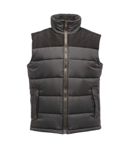 Regatta Mens Standout Altoona Insulated Bodywarmer Jacket (Black) - UTRG1619
