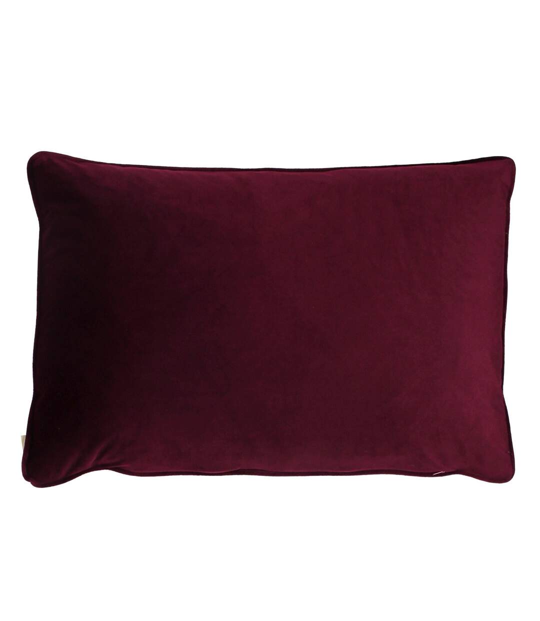 Midnight garden aquilegia cushion cover 40cm x 60cm shiraz Evans Lichfield