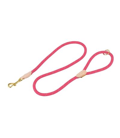 Digby & Fox Reflective Leather Dog Lead (Pink) (One Size) - UTER1758