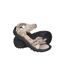 Sandales Cyprus Femme Taupe Mountain Warehouse-1