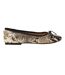 Ballerines Motif/style Imprimé Serpent Blossoms Femme Beige Clair Steve Madden-1