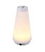 Regatta Lantern (White) (One Size) - UTRG7466