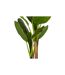 Plante Artificielle XXL Bananier 160cm Vert-2