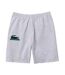 Short Motif/style Logo Bw Homme Gris Lacoste-2