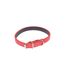 Collier pour Chien Design Uni 40cm Rouge