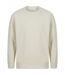 SF Unisex Adult Sustainable Sweatshirt (Light Stone) - UTRW8647