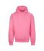 Unisex Adult Signature Heavyweight Hoodie Bubblegum Pink Awdis-1
