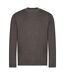 Awdis Mens Organic Sweatshirt (Charcoal) - UTPC4333