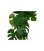 Tige Plante Artificielle Monstera Gala 85cm Vert-2