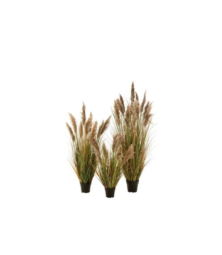 Herbe de Pampas Artificielle en Pot 13 Têtes 150cm Vert & Beige