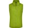 Gilet sans manches bodywarmer polaire femme - JN048 - vert citron-1