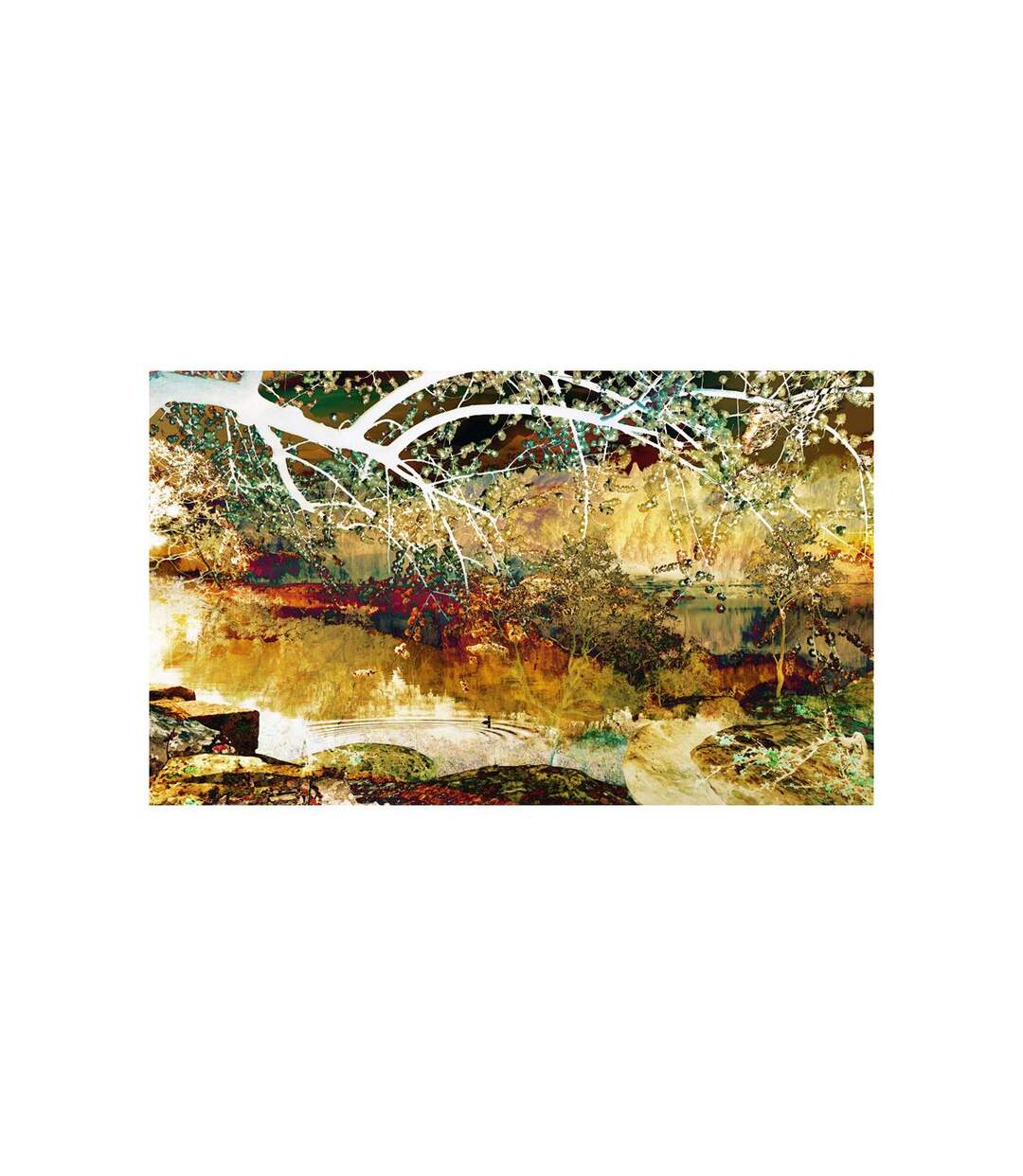 Papier Peint River of Life II 270x450cm-2