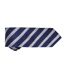 Premier Mens Waffle Stripe Formal Business Tie (Navy/Silver) (One Size) - UTRW5236