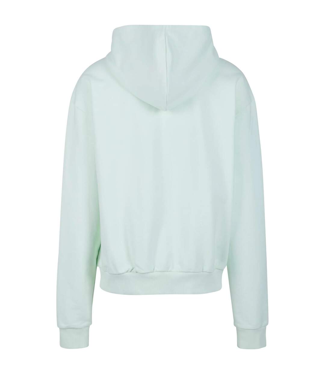 Sweat À Capuche Homme Menthe Clair Urban Classics-2