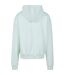 Sweat À Capuche Homme Menthe Clair Urban Classics-2