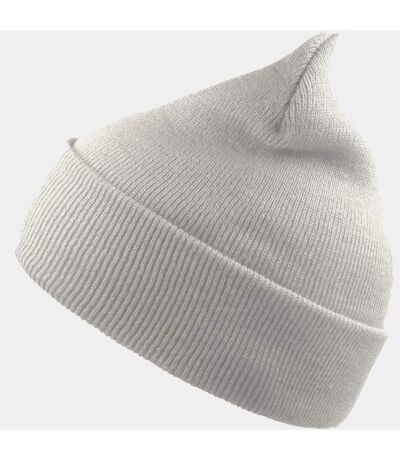 Atlantis Unisex Adult Wind Recycled Cuffed Beanie (White) - UTAB617