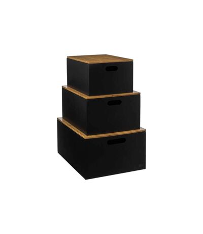 Lot de 3 Boîtes de Rangement Bava 34cm Noir
