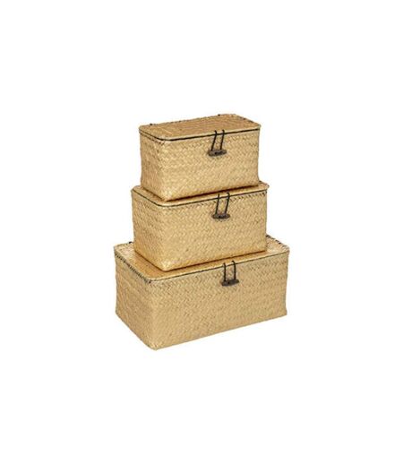 Lot de 3 Boîtes de Rangement Loft 26cm Or