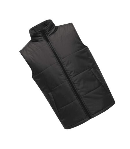 Veste Sans Manches Access Homme Gris Phoque Noir Regatta