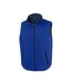 Adults unisex thermoquilt gilet royal blue/navy Result-1