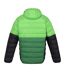 Doudoune Matelassée Harrock Homme Vert Jasmin Vert Des Champs Regatta-3