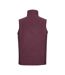 Veste Sans Manches Extérieur Homme Bordeaux Russell-2