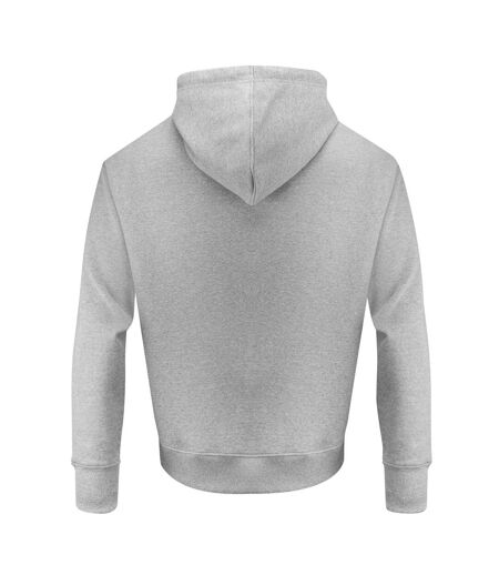 Sweat À Capuche Hopedale Adulte Gris Chiné James Harvest
