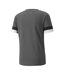 Maillot De Foot Teamrise Homme Gris Fumé Puma-2
