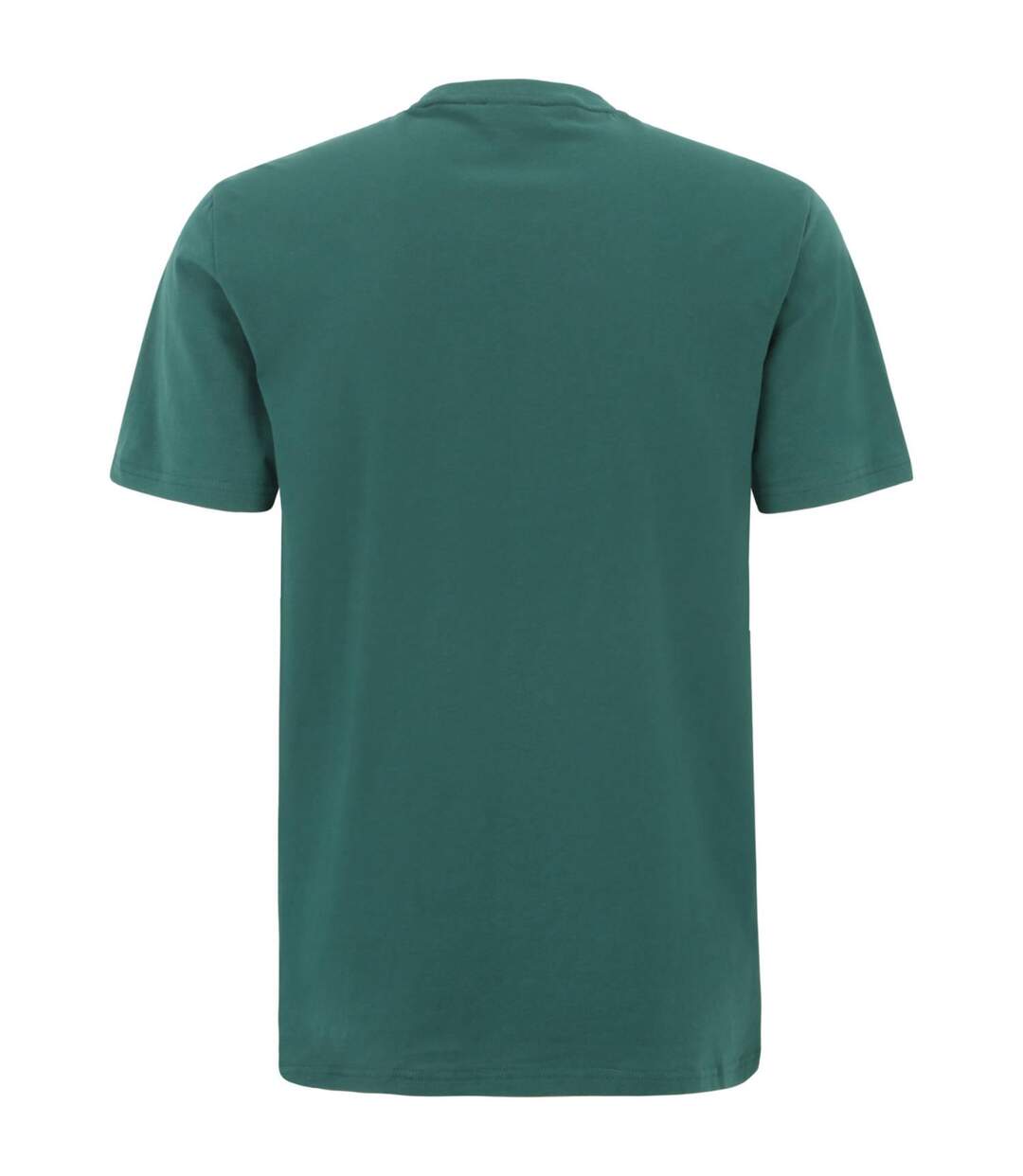 T-shirt Berloz Homme Vert Fila-2