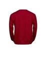 Tee Jays Sweat-shirt Power pour hommes (Rouge) - UTBC4929