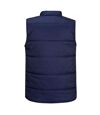 Portwest Mens Shetland Body Warmer (Navy)