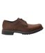 Derbies Officiel Homme Marron Foncé Timberland-1
