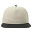 Atlantis - Casquette ajustable BANK - Adulte (Gris clair / Noir) - UTAB555