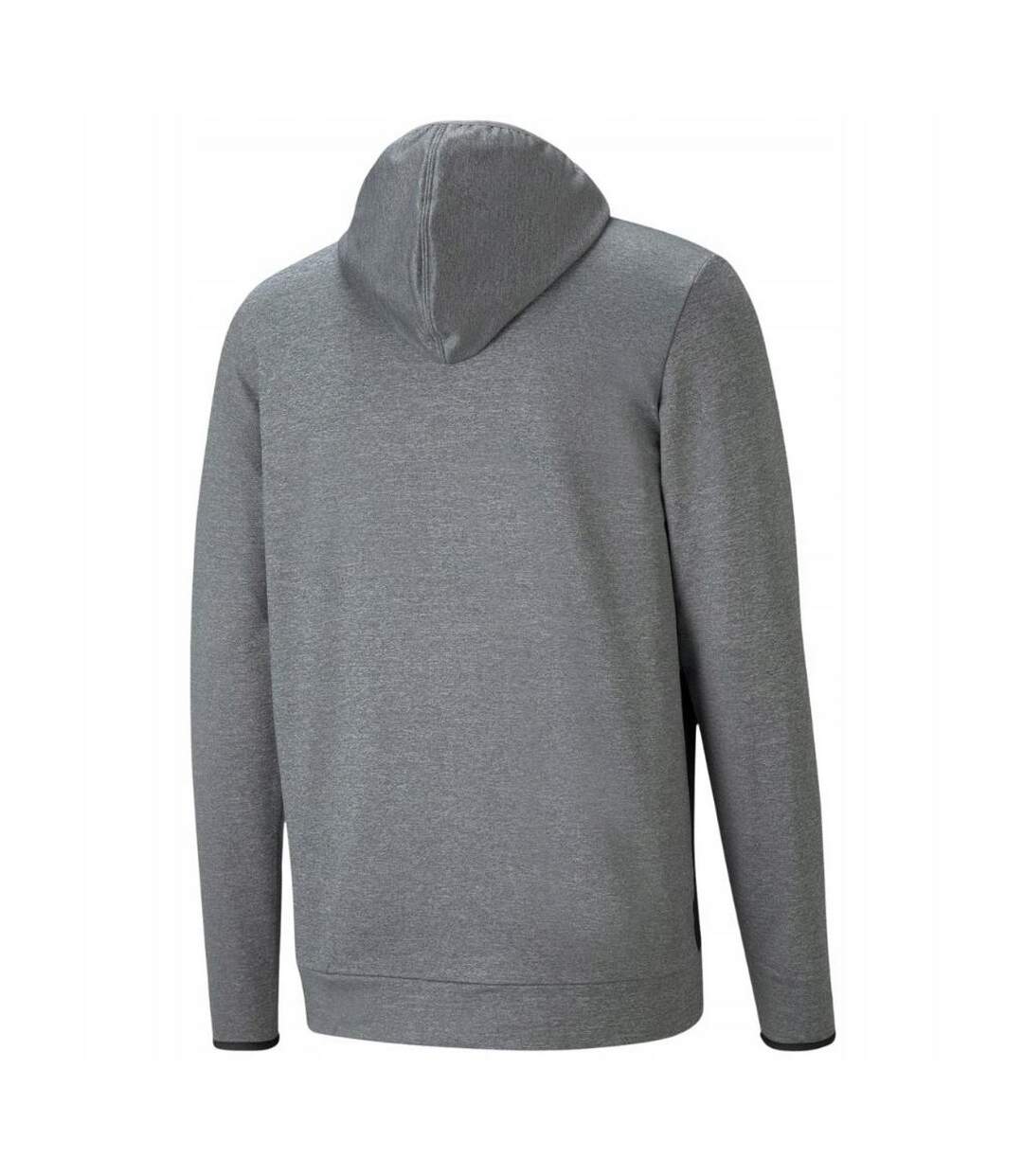 Sweat À Capuche Rtg Homme Gris Puma-2