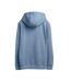 Sweat à capuche bleu clair homme teddy smith hoody-2