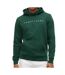Sweat vert forêt homme tommy hilfiger washed dm0dm20746-1
