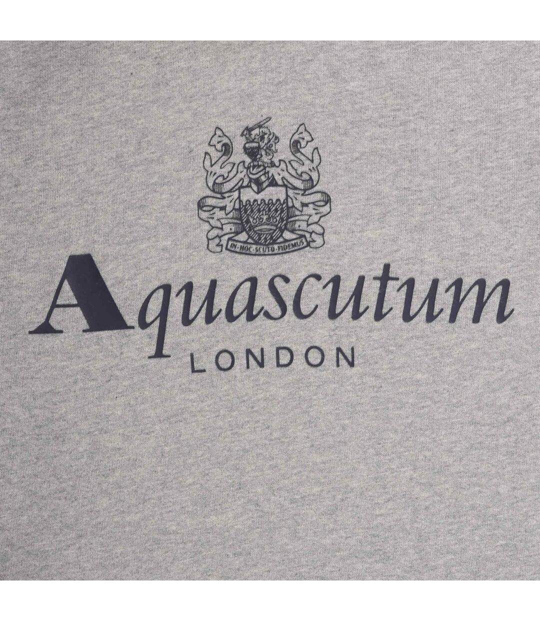 Sweat À Capuche Motif Gros Logo Active Homme Gris Clair Aquascutum-3