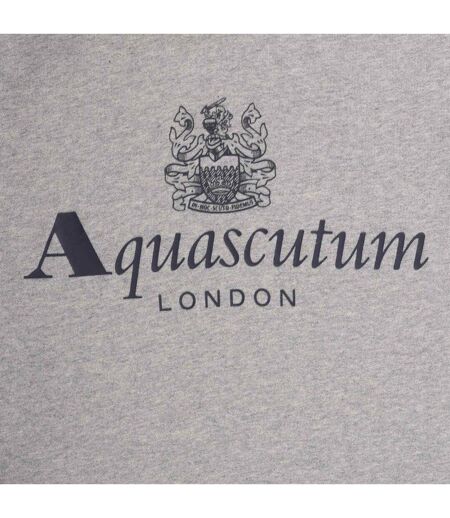 Sweat À Capuche Motif Gros Logo Active Homme Gris Clair Aquascutum