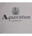 Sweat À Capuche Motif Gros Logo Active Homme Gris Clair Aquascutum-3