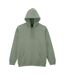 Sweat À Capuche Softstyle Homme Vert De Gris Gildan-1