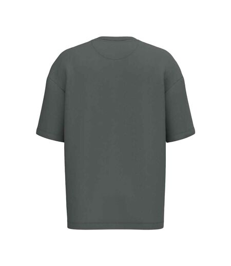 T-shirt Homme Gris Fer Native Spirit
