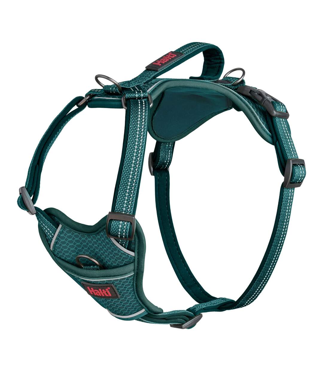 Anatomy dog harness s teal Halti-1