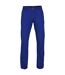 Asquith & Fox Mens Classic Casual Chinos/Trousers (Royal) - UTRW3473-2