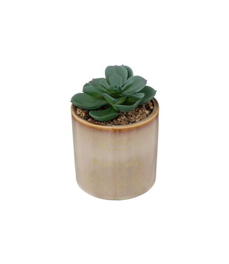 Plante Artificielle en Pot Déco Bota 14cm Beige