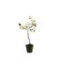 Arbre en Fleurs Déco Printemps 50cm Blanc-1