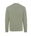 Unisex adult denali recycled cotton undyed sweatshirt heather green Iqoniq-2