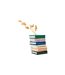 Vase Design Livres Escapade 18cm Multicolore-4