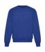 Unisex adult signature heavyweight sweatshirt bright royal Awdis-1